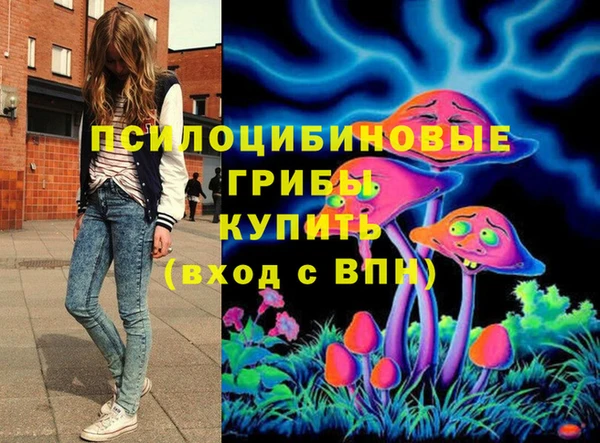герыч Новозыбков