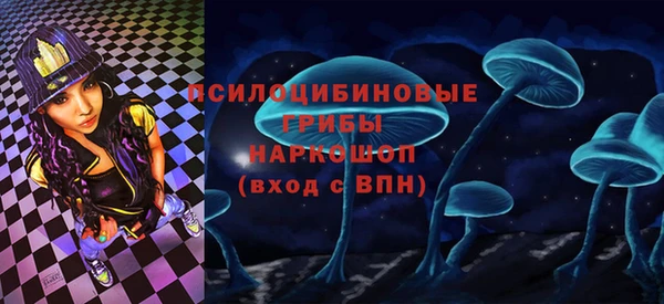 герыч Новозыбков