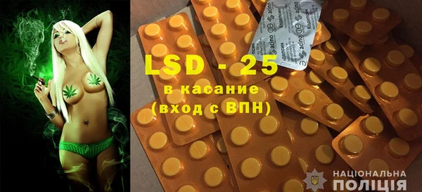 ГАЛЛЮЦИНОГЕННЫЕ ГРИБЫ Белая Холуница