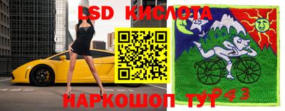 тгк Гусь-Хрустальный