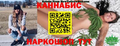 амф Гусев