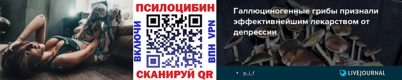 Псилоцибиновые грибы мухоморы Куйбышев